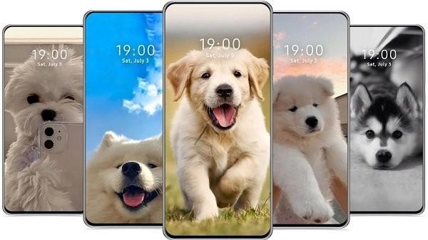 cutedogwallpaper可爱的狗壁纸下载,cutedogwallpaper,壁纸app