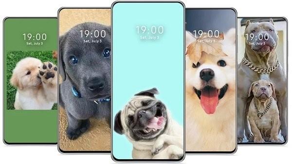 cutedogwallpaper可爱的狗壁纸下载,cutedogwallpaper,壁纸app
