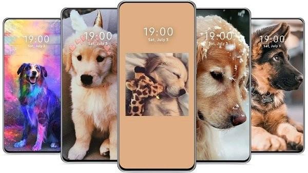 cutedogwallpaper可爱的狗壁纸下载,cutedogwallpaper,壁纸app