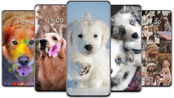 cutedogwallpaper可爱的狗壁纸下载,cutedogwallpaper,壁纸app