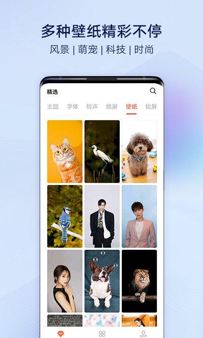 vivo主题商店官方正版(i主题)下载,主题app,vivo主题商店,i主题,vivoapp