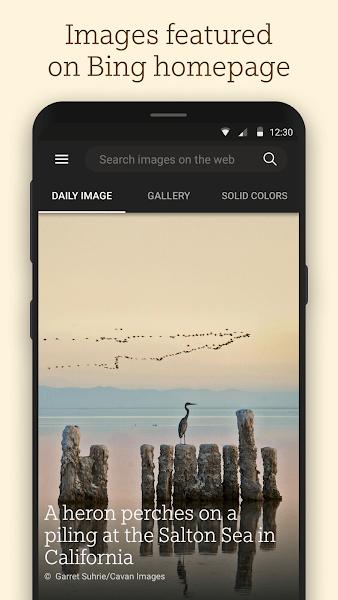 微软壁纸官方版(Wallpapers)下载,wallpapers,壁纸app,微软app